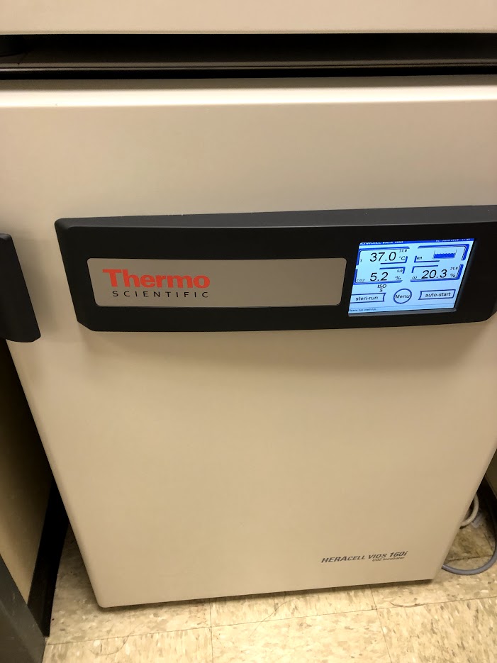 Heracell VIOS 160i CO2 Incubator for Culturing Cells Under Hypoxic
